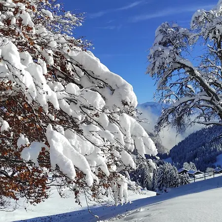L'echappee Belle En Montagne - Site Location-chalet Σαλέ *